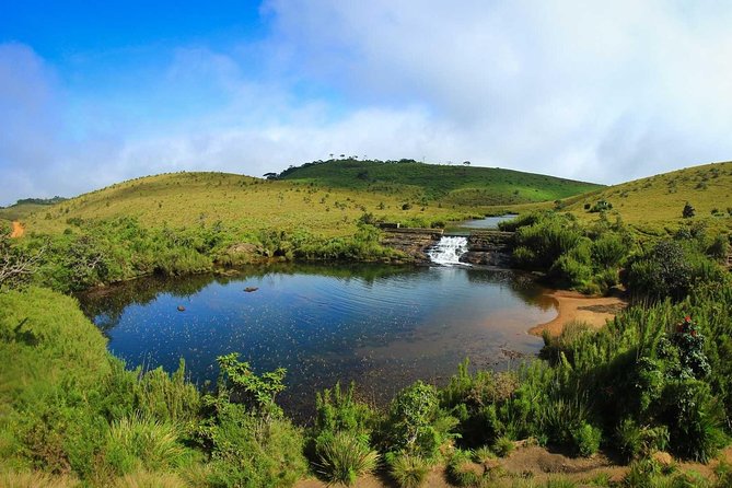 Horton Plains Day Tour With Short Train Journey From Ella - Train Journey Experience