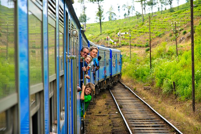 Horton Plains Day Tour With Short Train Journey From Ella - Return Journey and Farewell