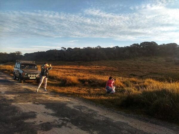 Horton Plains: Discover Real Essence of Central Highland - Exploring Nearby Attractions