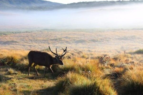 Horton Plains: Discover Real Essence of Central Highland - Frequently Asked Questions