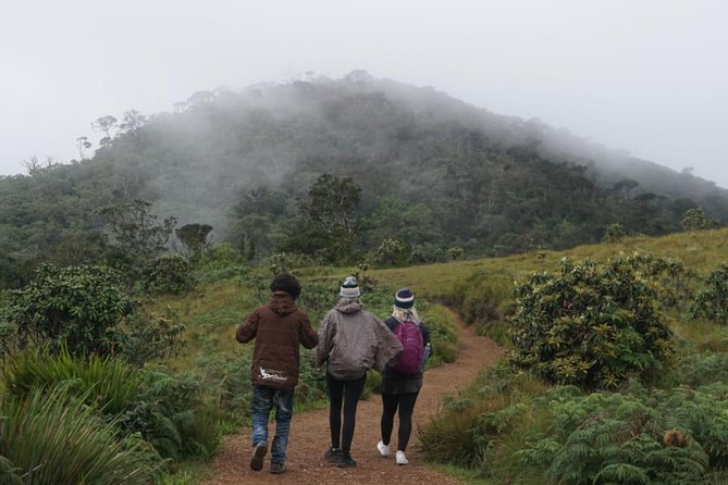 Horton Plains National Park - Natural Features and Landscapes