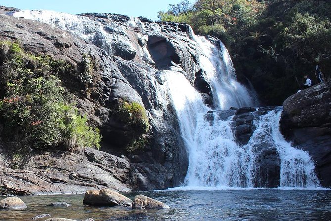 Horton Plains National Park - Wildlife and Biodiversity