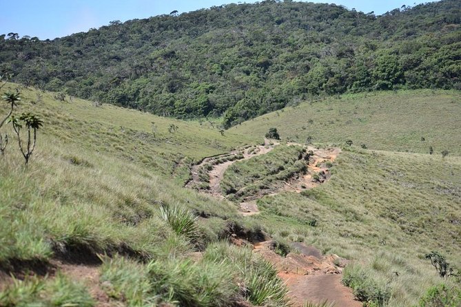 Horton Plains National Park Entrance Ticket - Price and Booking Details
