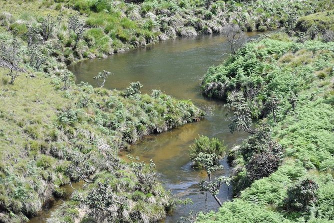 Horton Plains National Park Entrance Ticket - Meeting and Pickup Information