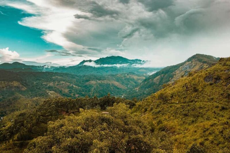 Horton Plains National Park Entry eTicket - Wildlife Encounters: Unique and Unexpected