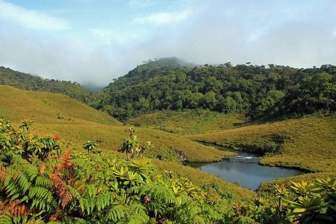 Horton Plains National Park : Private Guided Trekking Tour - Additional Information for Participants