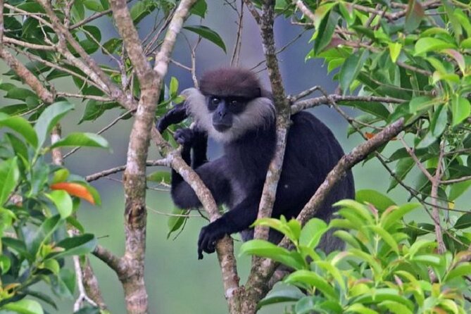Horton Plains National Park : Private Guided Trekking Tour - Pricing Details and Guarantees
