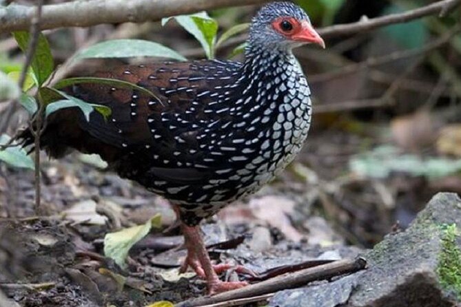 Horton Plains National Park : Private Guided Trekking Tour - Contact Information for Clarifications