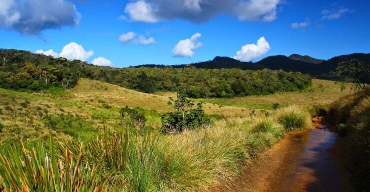 Horton Plains National Park Tour & Scenic Train Ride - Activity Details