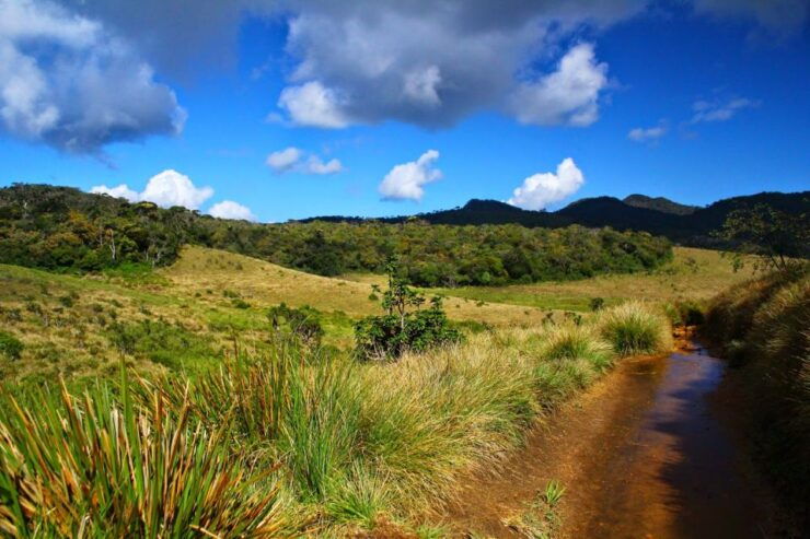 Horton Plains National Park Tour & Scenic Train Ride - Experience