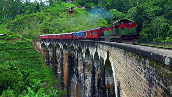 Horton Plains National Park Tour & Scenic Train Ride - Highlights