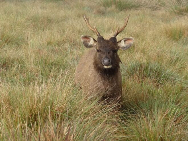 Horton Plains National Park Tour & Scenic Train Ride - Itinerary