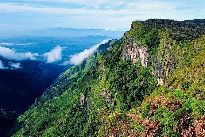 Horton Plains Park & Worlds End Guided Trekking From Nuwara Eliya - Authentic Feedback from Travelers