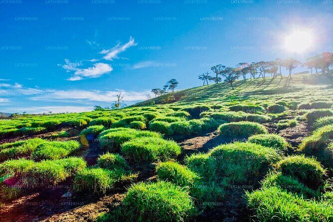 Horton Plains Park & Worlds End Guided Trekking From Nuwara Eliya - FAQ