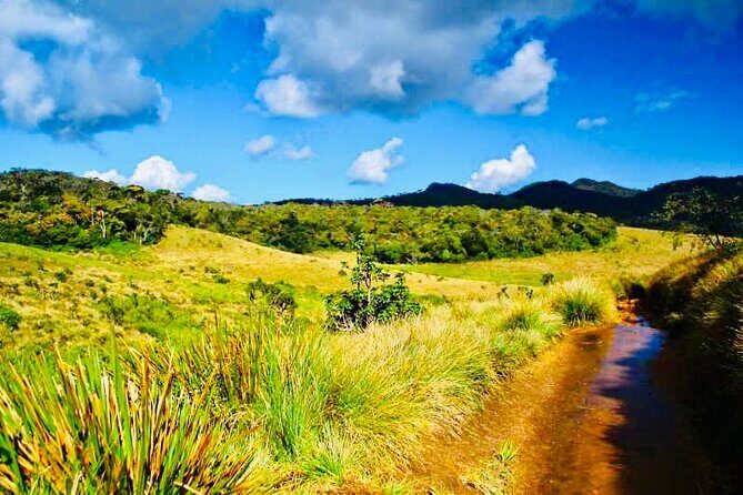 Horton Plains Park & Worlds End Guided Trekking From Nuwara Eliya - Transportation and Group Size