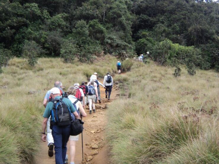 Horton Plains, Worlds End, Bakers Falls & Train Ride - Location and Biodiversity