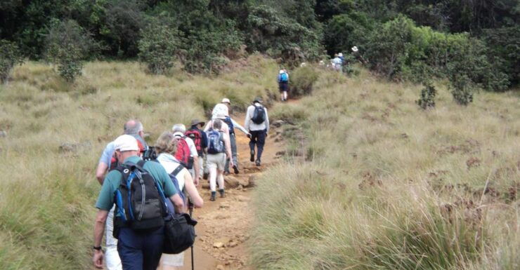 Horton Plains, Worlds End, Bakers Falls & Train Ride - Stunning Views and Diverse Wildlife