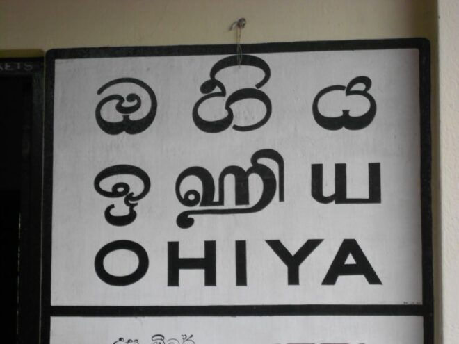 Horton Plains, Worlds End, Bakers Falls & Train Ride - The Majestic Worlds End