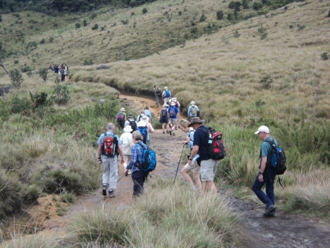 Horton Plains, Worlds End, Bakers Falls & Train Ride - Picturesque Bakers Falls