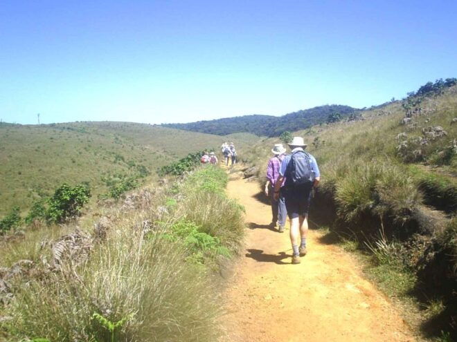 Horton Plains, Worlds End, Bakers Falls & Train Ride - Scenic Train Ride Experience