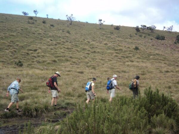 Horton Plains, Worlds End, Bakers Falls & Train Ride - Common Questions