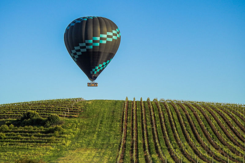 Hot Air Balloon Flight Experience in Hunter Valley - Should you book the Hunter Valley balloon flight?