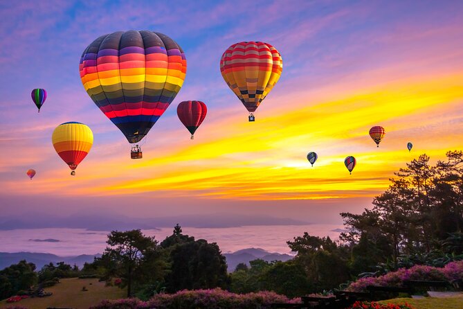Hot Air Balloon Flight in Dubai With Refreshments Including Pickup & Drop off - Hot Air Balloon Flight Experience