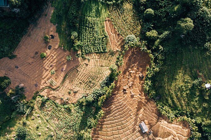 Hot Air Balloon Ride in Dambulla - Practical Details and Tips