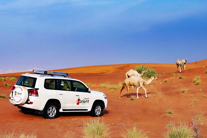 Hot Air Balloon Ride in Dubai With Pickup - Pricing and Booking Information