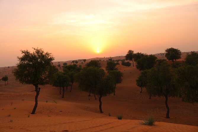 Hot Air Balloon Ride in Dubai With Pickup - Flight Duration and Conditions
