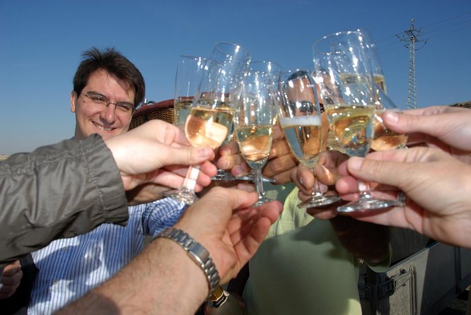 Hot-Air Balloon Ride Over Aranjuez With Optional Transport From Madrid - Reviews and Questions