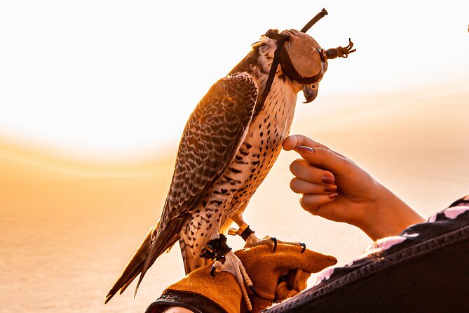 Hot Air Balloon Ride With In-Flight Falcon Show - Cancellation Policy