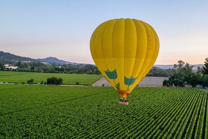 Hot Air Balloon Rides in Napa Valley - What Makes This Experience Stand Out