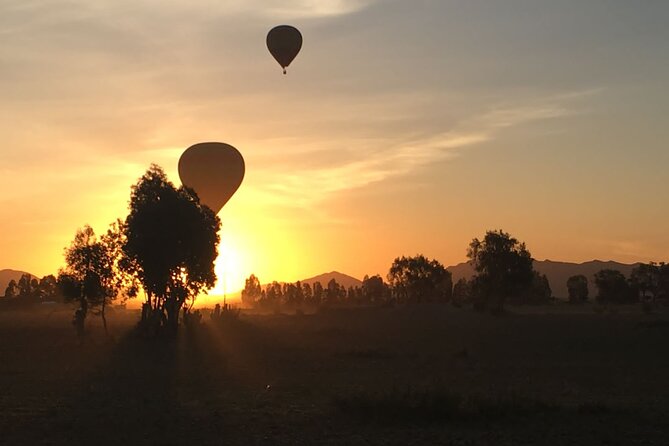 Hot Air Balloon With Breakfast and Camel Ride - Good To Know