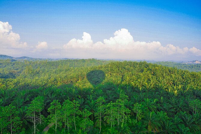 Hot Air Ballooning Tour From Habarana - Cancellation Policy
