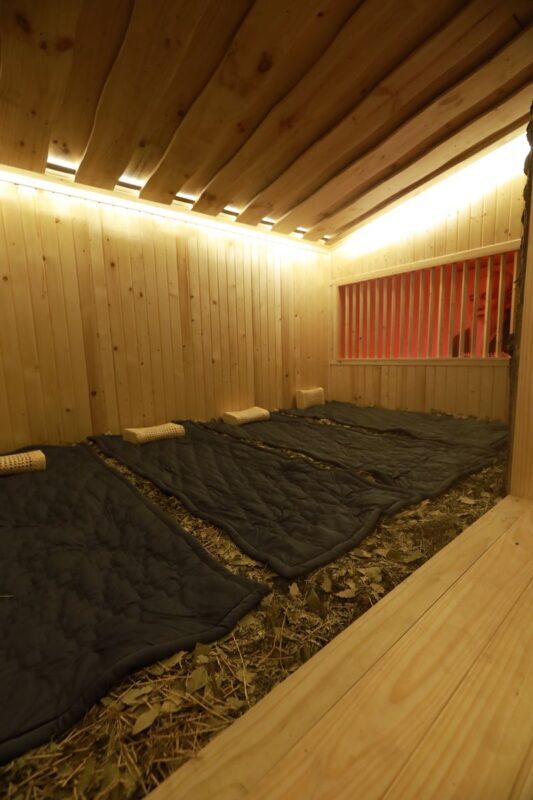 Hot Mineral Onsen, Jjimjilbang & Hair Wash at Onsen & Wellness Viet - Should you book it?