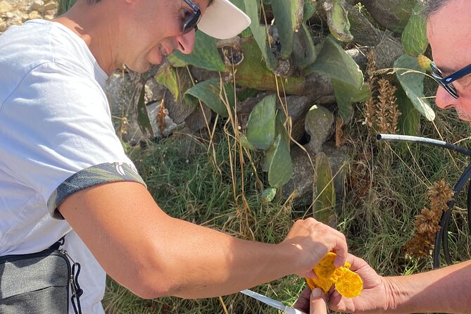 Hot Natural Spring and Greek Temple of Segesta - The Sum Up