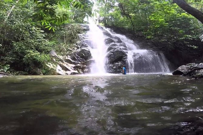 Hot Spring and Waterfall Day Tour - Booking Information