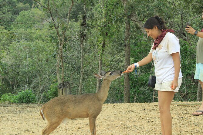 Hot Springs and Villages in the Sierra Madre for 4 hours - Practical Tips for Participants
