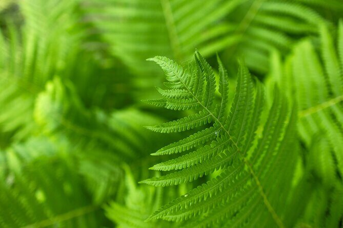 Hot Springs NP Self Guided Driving and Walking Audio Tour - Final Thoughts