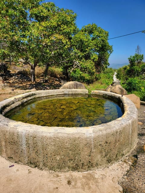 Hot Springs & Waterfall Adventure - Accommodation Experience