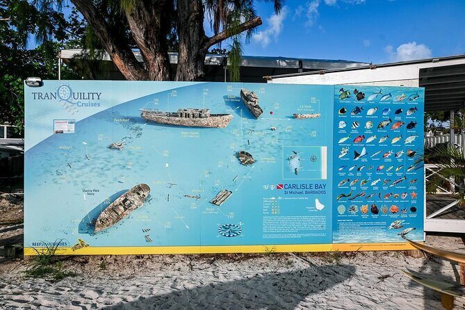 Hotel Beach Day at Savvy with Shuttle Transfer - Considerations and Tips