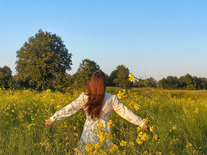 Hotel Pick-up: Canola Flower Spring Day Tour With UNESCO Spots - A spring route with more than flowers