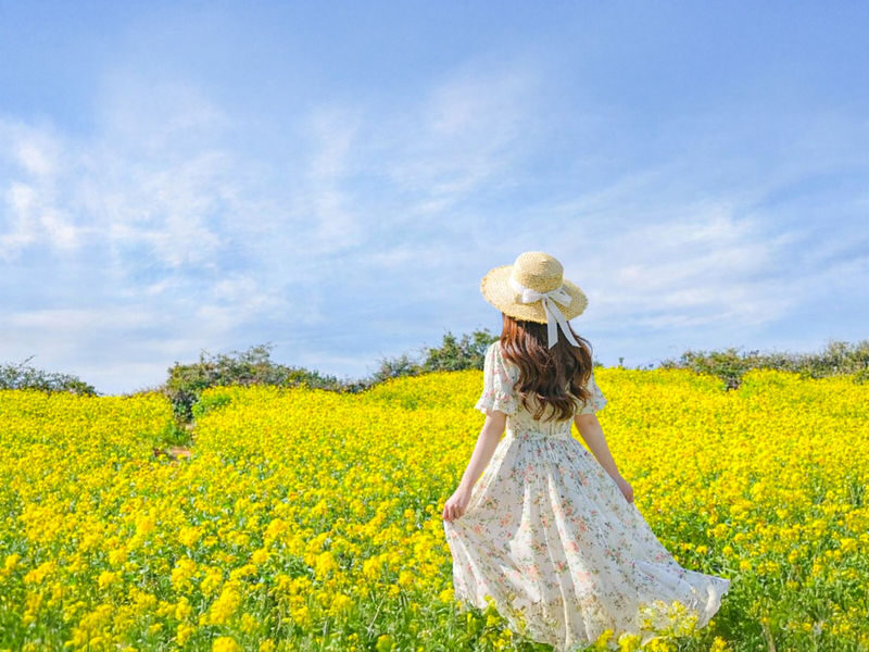 Hotel Pick-up: Canola Flower Spring Day Tour With UNESCO Spots - Lunch is local, but not included