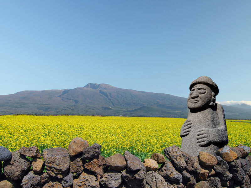 Hotel Pick-up: Canola Flower Spring Day Tour With UNESCO Spots - Guides and small-group comfort