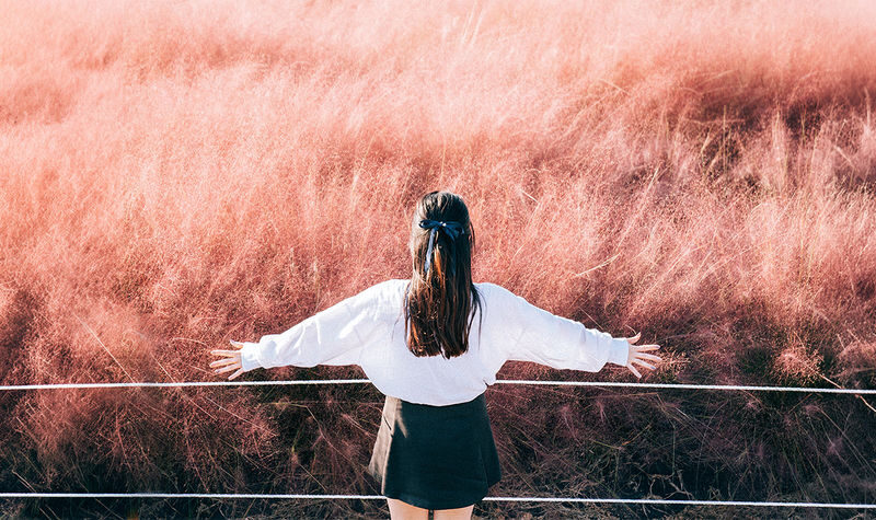 Hotel Pick-up: Jeju Autumn Pink Muhly Day Tour - Small Group - What to know before you go