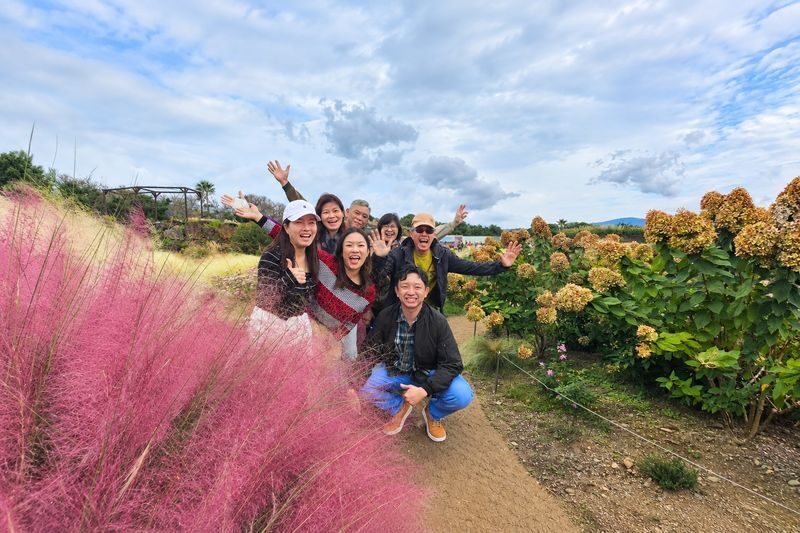 Hotel Pick-up: Jeju Autumn Pink Muhly Day Tour - Small Group - Hueree’s pink muhly gardens