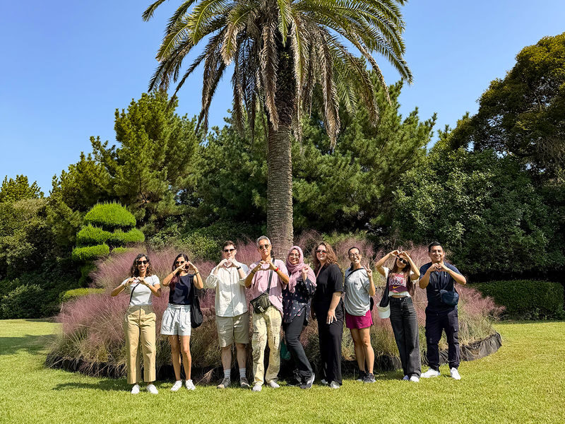 Hotel Pick-up: Jeju Autumn Pink Muhly Day Tour - Small Group - Seongsan Ilchulbong and the haenyeo sea show
