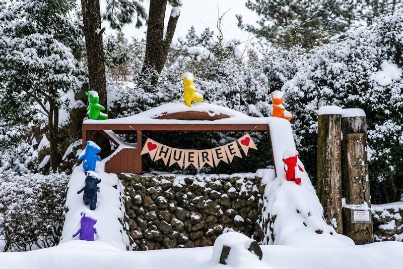 Hotel Pick up: Jeju Camellia & Tangerine & Snow Winter Tour - Seongeup Folk Village’s quiet winter mood