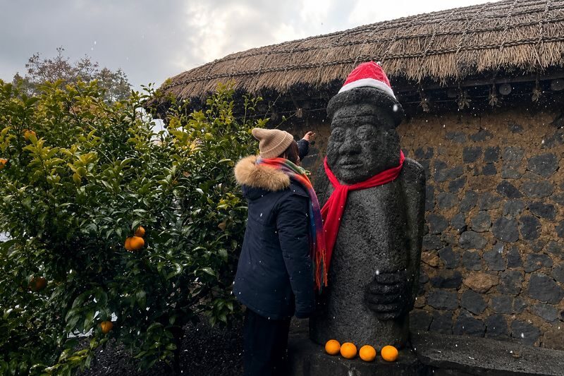 Hotel Pick up: Jeju Camellia & Tangerine & Snow Winter Tour - Lunch is a pause, with a few details to settle